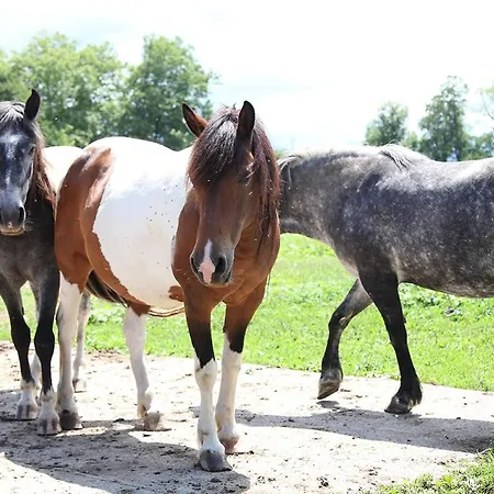 A La Ferme Appartement