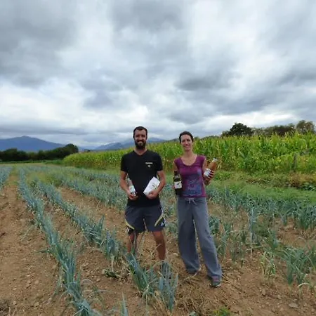 公寓 A La Ferme 欧洛圣马里