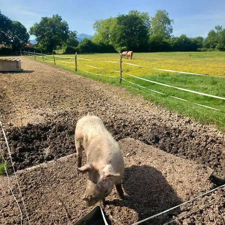 A La Ferme 公寓 欧洛圣马里